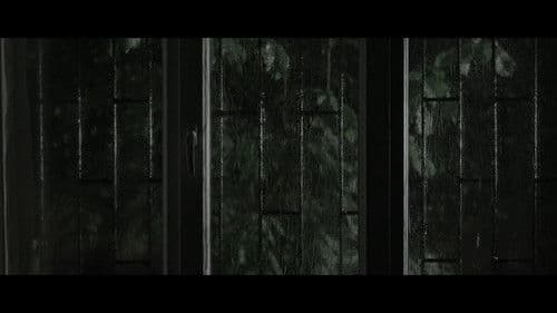 Hamam Böceği Bild 3