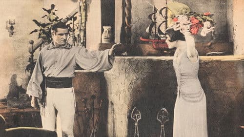 The Yankee Señor Bild 1