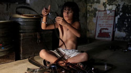 Das Licht, aus dem die Träume sind Bild 7