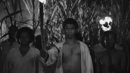 Black Zombie Bild 1
