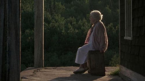 The Company of Strangers Bild 6