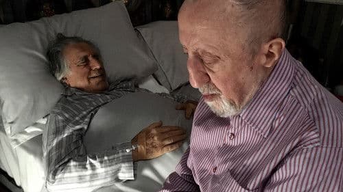 Für dich soll's ewig Rosen geben Bild 1