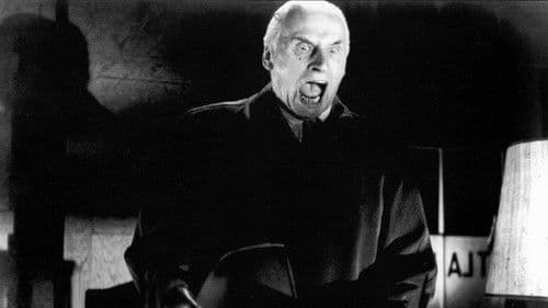 Der Frosch mit der Maske Bild 4