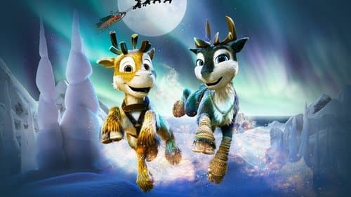 Niko - Reise zu den Polarlichtern Bild 2