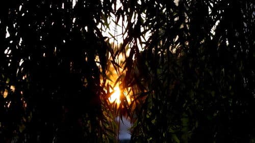 ¿Nos hablan los muertos? Bild 5