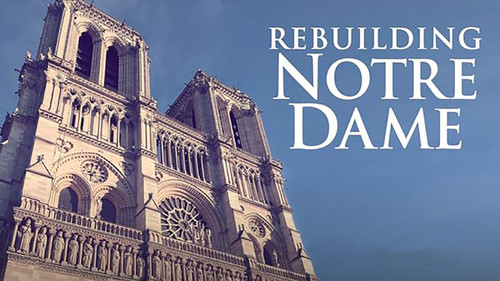 Rebuilding Notre-Dame Bild 3