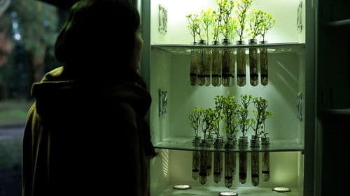 Trenque Lauquen Bild 2