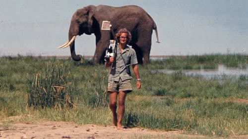 Ein Leben unter Elefanten Bild 5