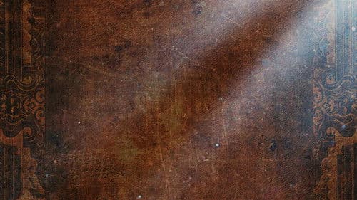 Secret Life of Symbols Bild 1