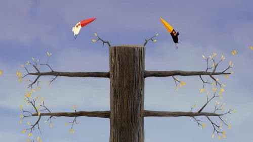 Dos Pajaritos Bild 1