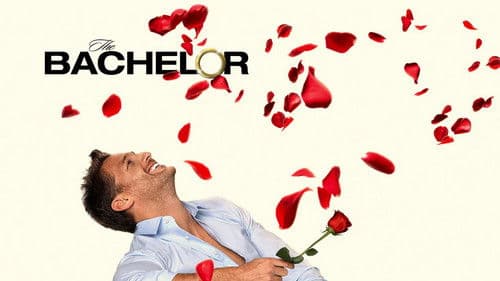 The Bachelor Bild 7