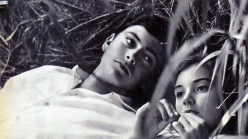 Le italiane e l'amore Bild 1