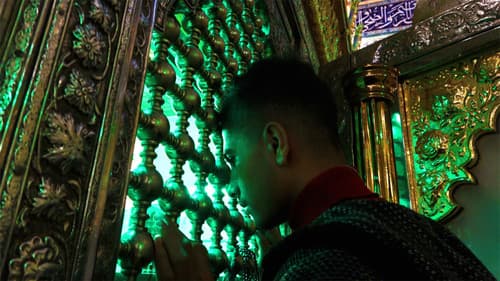 دافنينو سوا Bild 1