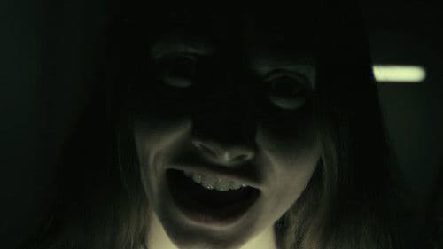 Playland: A Dream-O-Vision Experience Bild 1