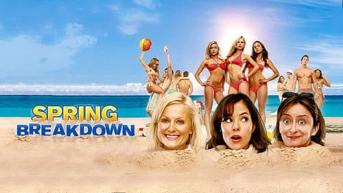 Spring Breakdown - Alter schützt vor Party nicht Bild 1