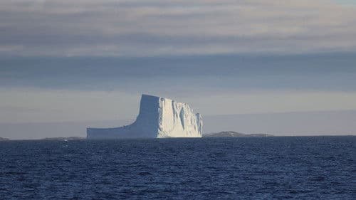 Антарктида Bild 4