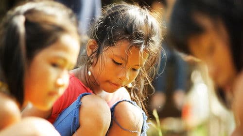 Talking to the Trees Bild 2