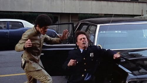 Drei eiskalte Profis Bild 3