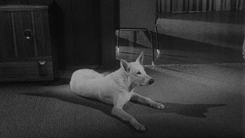 Die Augen des Satans Bild 5