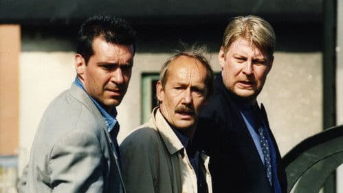 Stockholm Marathon Bild 2