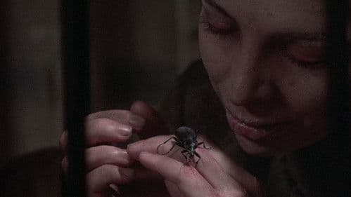 Do You Remember Love Bild 1