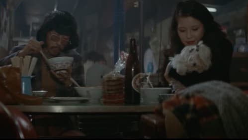 札幌・横浜・雄琴・博多 トルコ渡り鳥 Bild 7