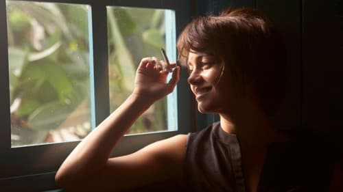 Meu Nome é Gal Bild 2