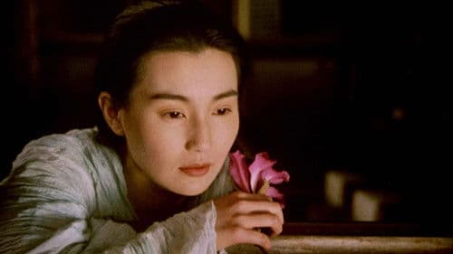 东邪西毒：终极版 Bild 2