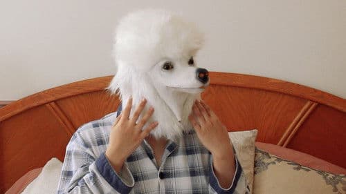 I Wish I Was A Dog Bild 1