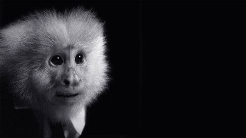 WHAT DID JACK DO? Bild 5