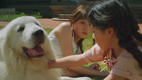 Fullmetal Alchemist Bild 2