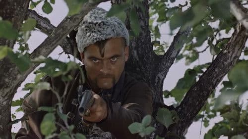 Пропала грамота Bild 7