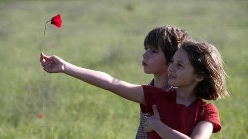 Das Wunder der Natur Bild 2