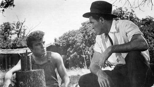 Er kam als ein Fremder Bild 2