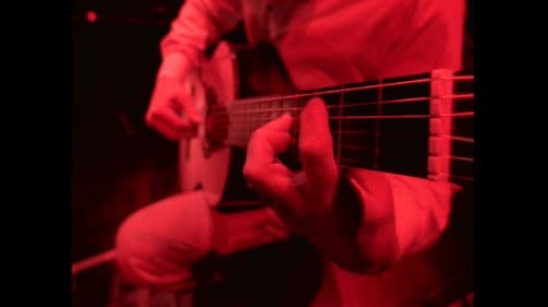 Mannheim Steamroller: Christmas Live Bild 2