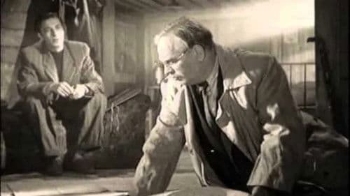 Огни Баку Bild 4