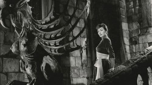 Der Vampir von Notre Dame Bild 6