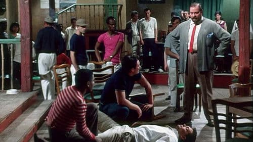 Scharfe Schüsse auf Jamaika Bild 3