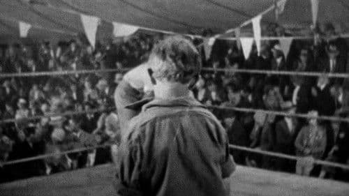 The Shakedown Bild 1