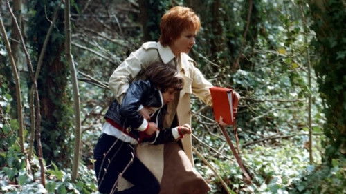 Teufelskreis der Gewalt Bild 4