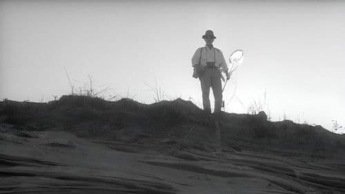 Die Frau in den Dünen Bild 4