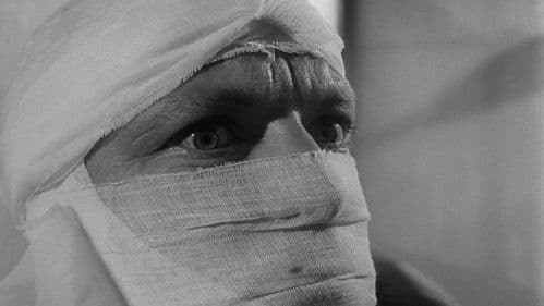 Zur Hölle mit Sydney Bild 2