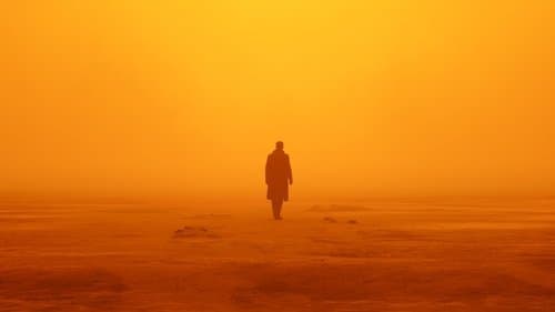 Blade Runner 2049 Bild 3