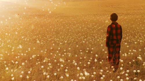 Wisher Maddox Bild 1