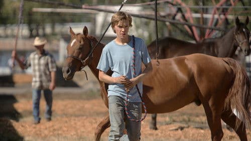 Lean on Pete Bild 2