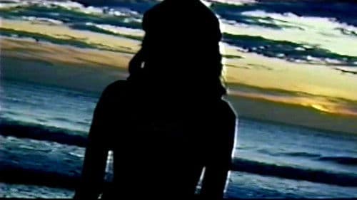 Neigh Means Yes Bild 7