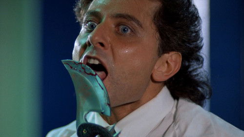 Die Unbesiegbare Bild 5