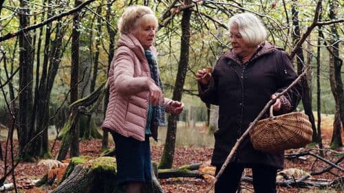 Wenn der Herbst naht Bild 3