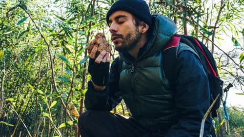 O Intrépido Explorador Bild 4