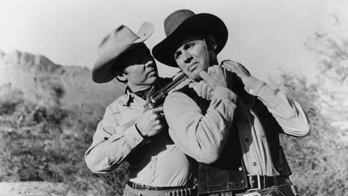 Goldtransport durch Arizona Bild 2